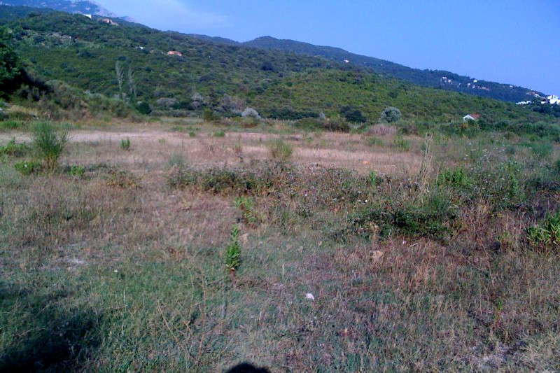 Plot in Montenegro, in Igalo