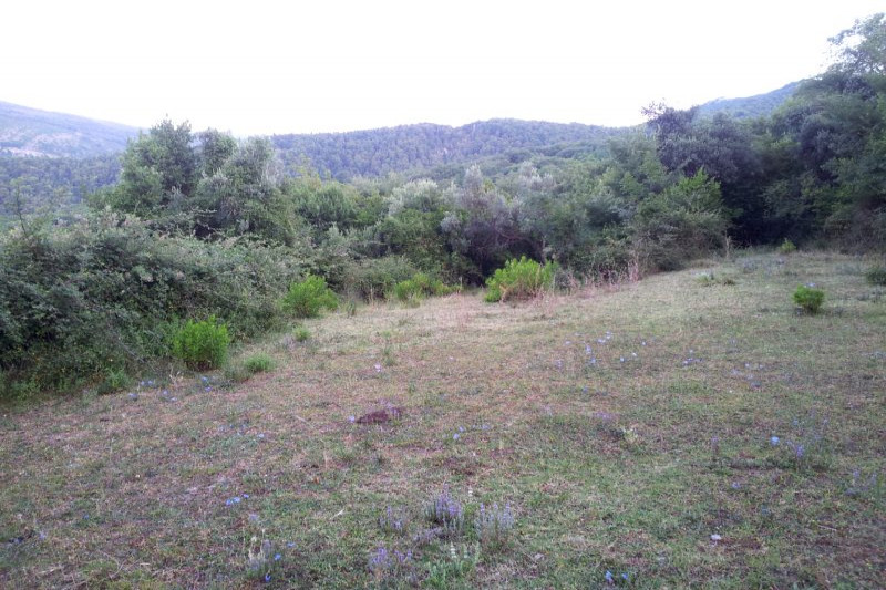 Plot in Montenegro, in Igalo