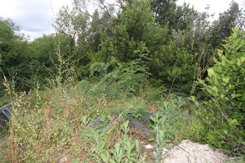 Plot in Montenegro, in Gošići