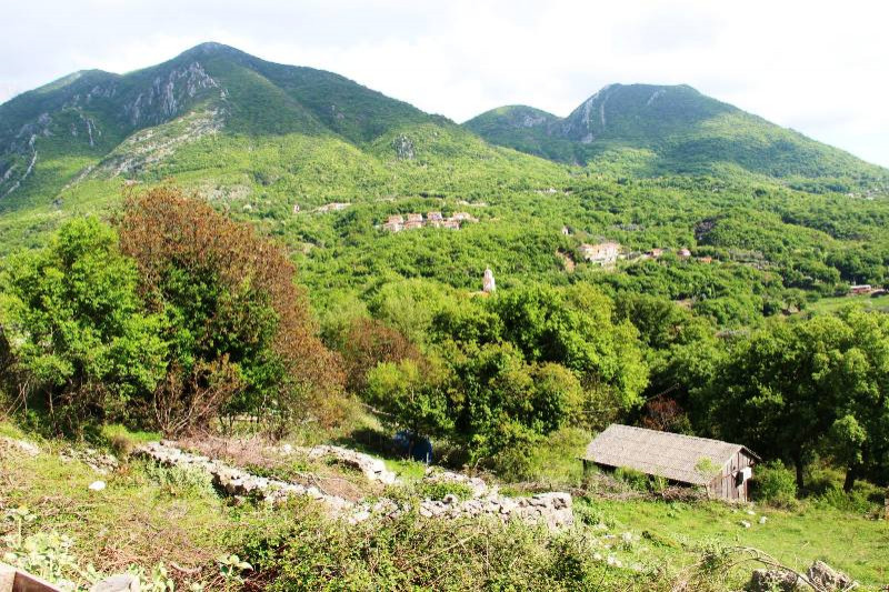 Plot in Montenegro, in Zupci