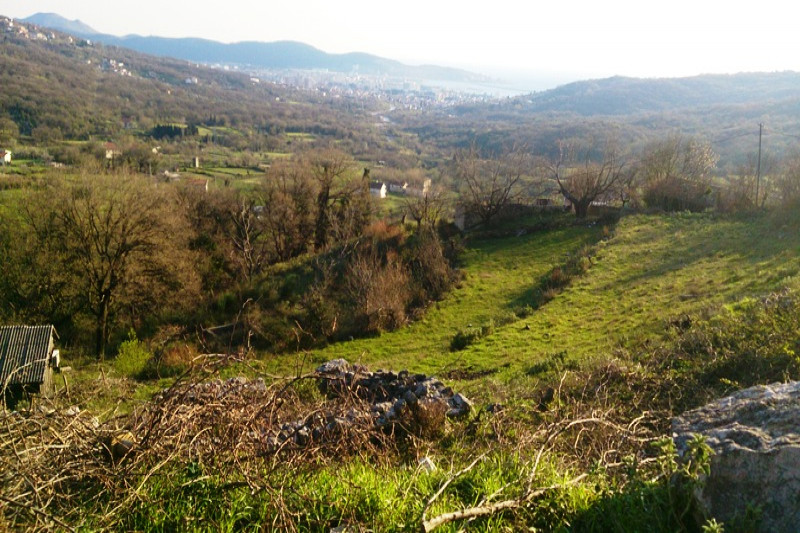 Plot in Montenegro, in Zupci